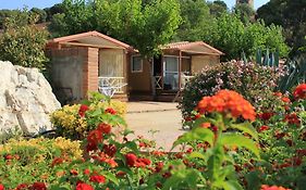 Camping Roca Grossa Calella Exterior photo